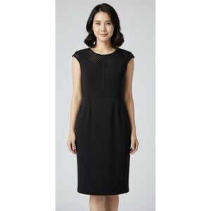 Adrianna Papell Black Tullulah Dress Womens Size‎ 10 Sophisticated Chic Cocktail
